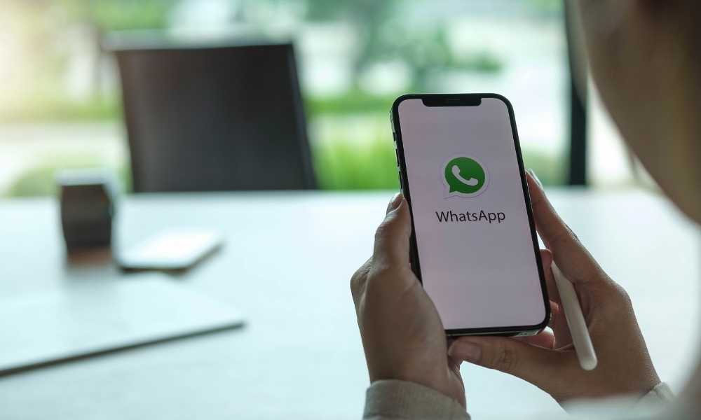 WhatsApp chats, WhatsApp for business