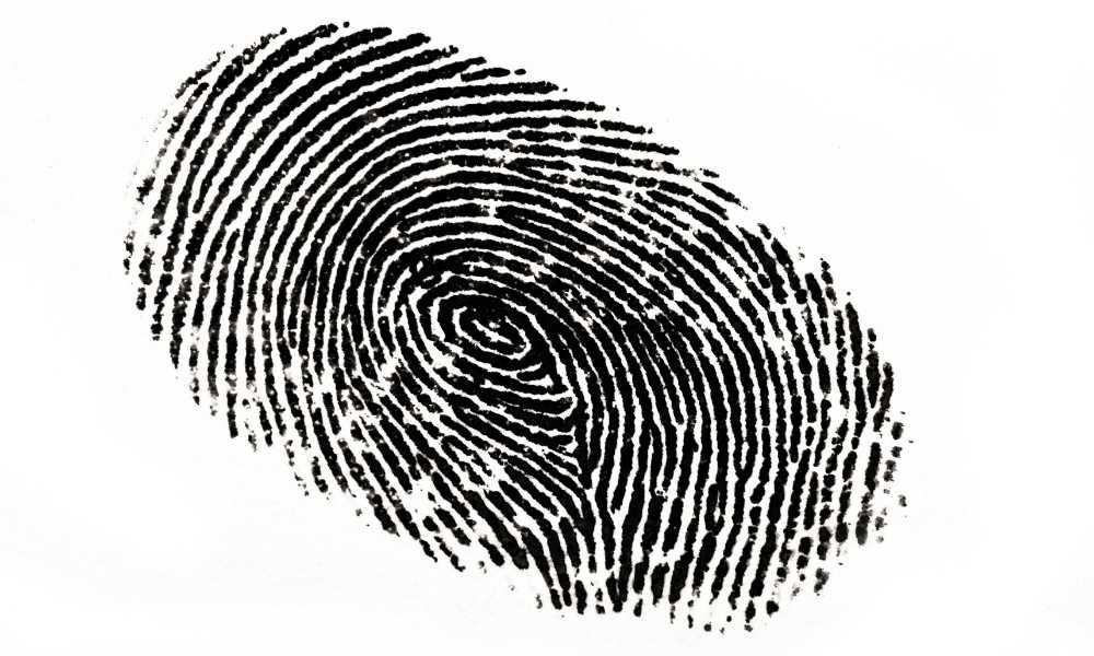 fingerprint data