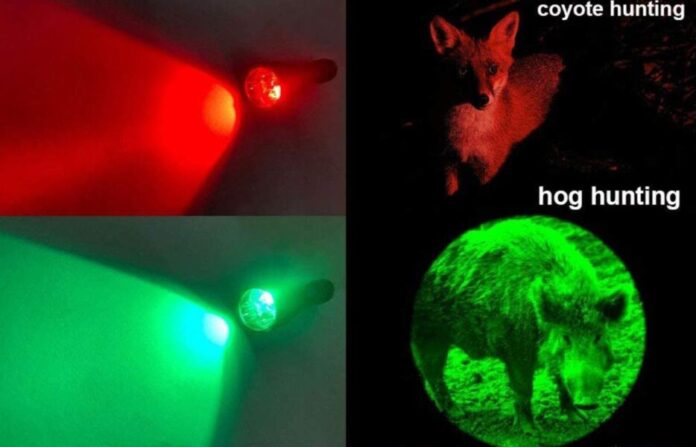 Top 10 Best Blood Tracking Lights For Hunting