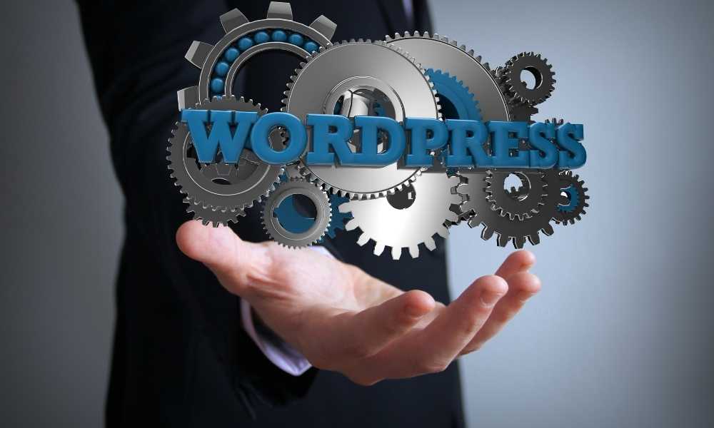 How Your Small Businesses Can Grow With WordPress?
