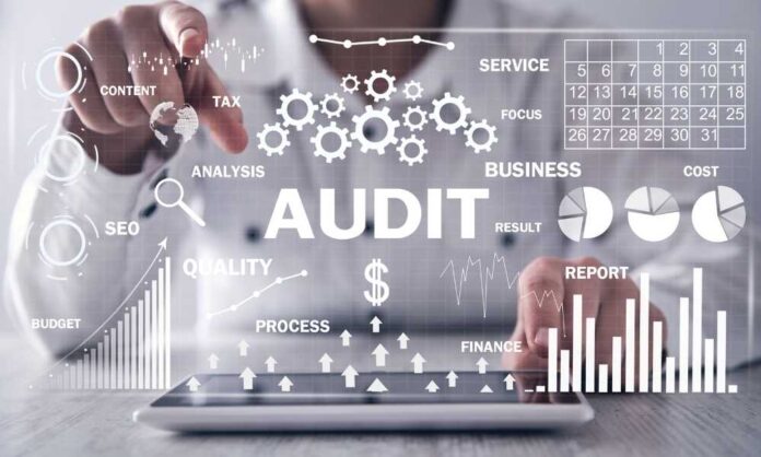 What is Business Audit