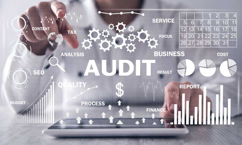 What is Business Audit