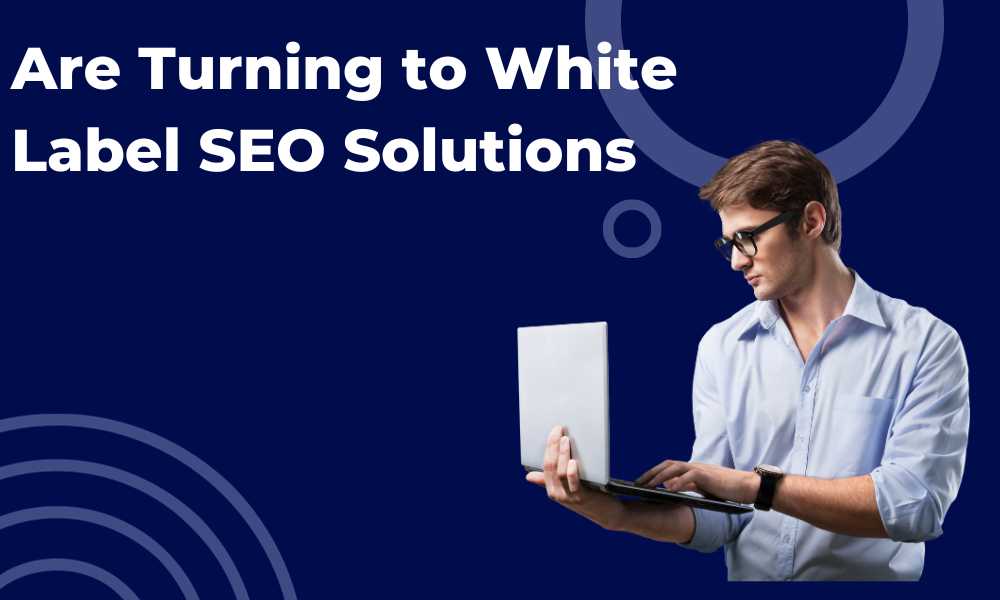 Are Turning to White Label SEO Solutions, Link building