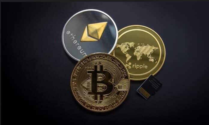 The trends of crypto casinos in 2025 reflect a dynamic shift toward decentralization, security, and player empowerment.