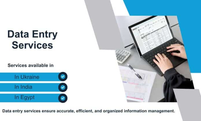 Professional data entry services ensuring accuracy and efficiency